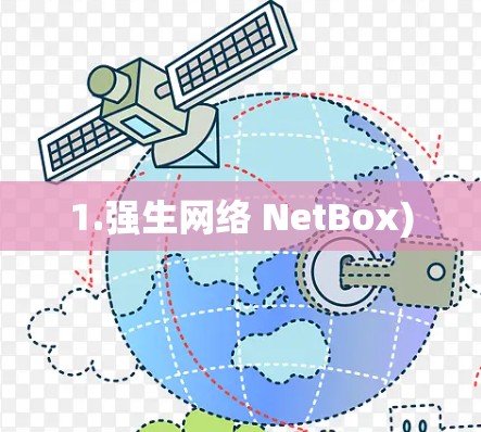 1.强生网络 NetBox)