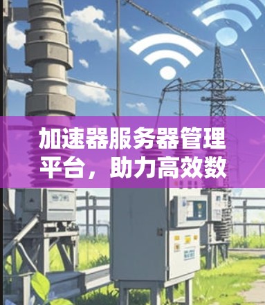 加速器服务器管理平台，助力高效数据传输与云服务的智能解决方案