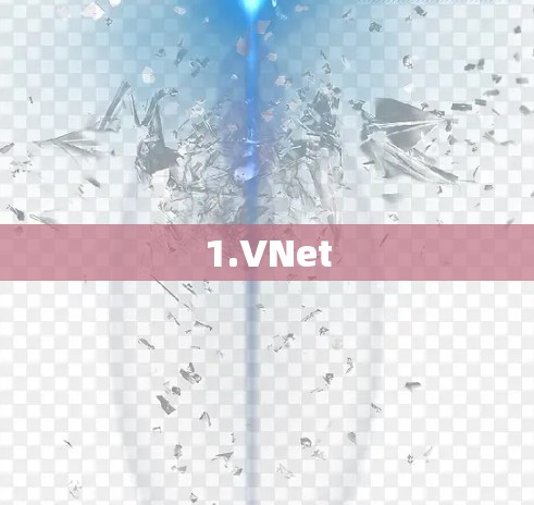1.VNet