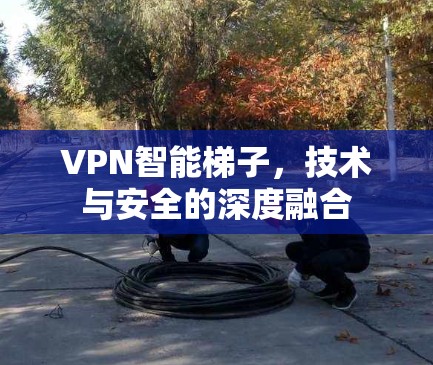 VPN智能梯子，技术与安全的深度融合