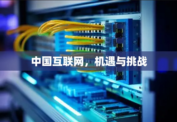 中国互联网，机遇与挑战