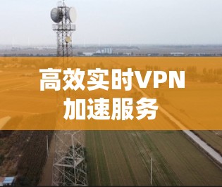 高效实时VPN加速服务