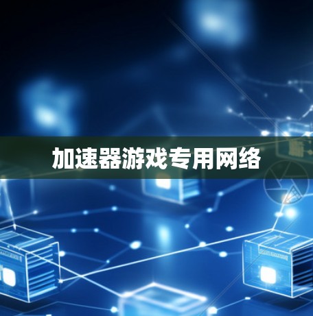 加速器游戏专用网络