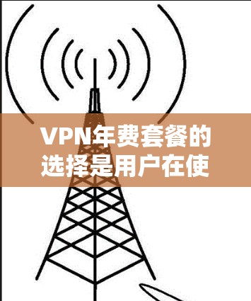 VPN年费套餐的选择是用户在使用VPN服务时非常重要的决策。以下是一些常见的VPN年费套餐类型及其特点，帮助用户更好地选择适合自己的套餐