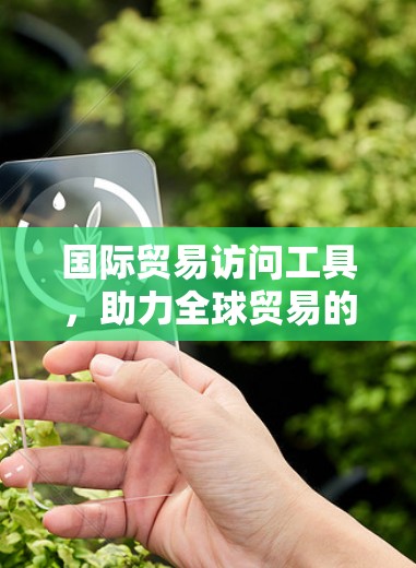 国际贸易访问工具，助力全球贸易的现代解决方案
