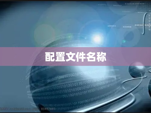 配置文件名称