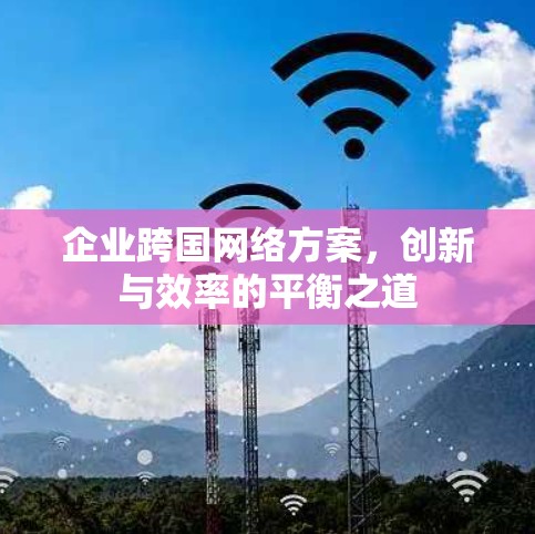 企业跨国网络方案，创新与效率的平衡之道