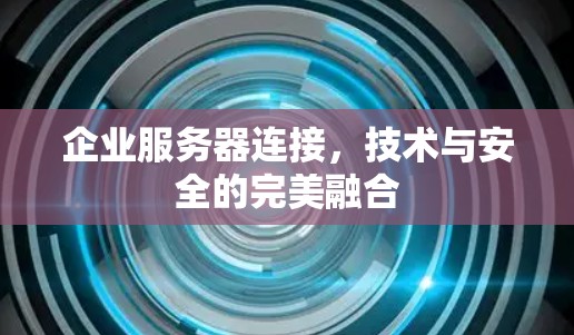 企业服务器连接，技术与安全的完美融合