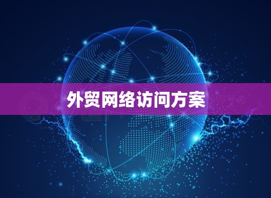 外贸网络访问方案