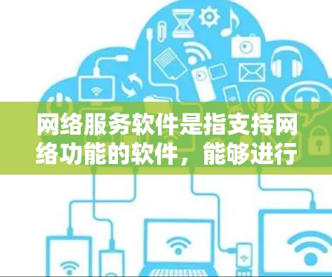 网络服务软件是指支持网络功能的软件，能够进行各种网络服务，包括但不限于以下类别