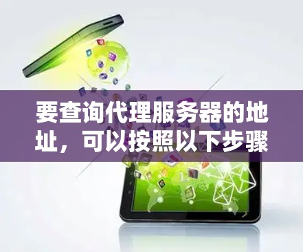 要查询代理服务器的地址，可以按照以下步骤进行