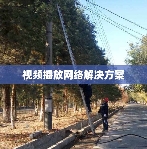 视频播放网络解决方案
