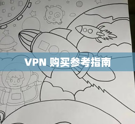 VPN 购买参考指南