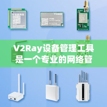 V2Ray设备管理工具是一个专业的网络管理工具，主要用于传输网络和互联网管理，特别针对Ray网络进行管理。以下是其主要功能和使用指南