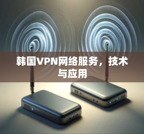 韩国VPN网络服务，技术与应用