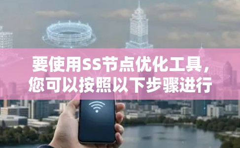 要使用SS节点优化工具，您可以按照以下步骤进行