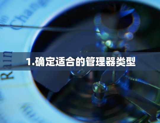 1.确定适合的管理器类型