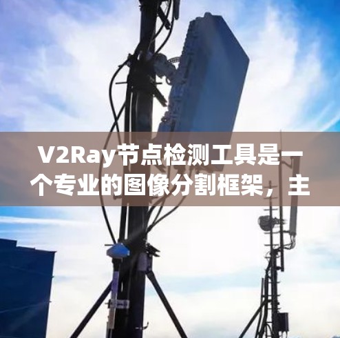 V2Ray节点检测工具是一个专业的图像分割框架，主要用于医学图像处理、计算机视觉等领域。以下是对该工具的详细介绍