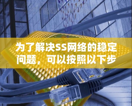 为了解决SS网络的稳定问题，可以按照以下步骤进行优化