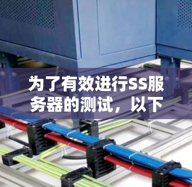 为了有效进行SS服务器的测试，以下是一个详细的步骤指南