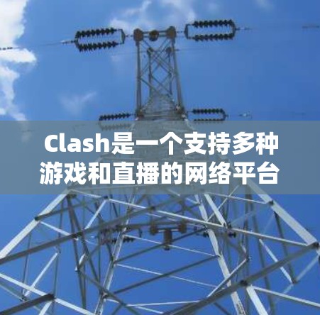 Clash是一个支持多种游戏和直播的网络平台，以下是设置网络设备的基本步骤
