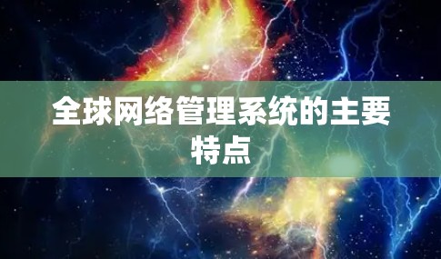 全球网络管理系统的主要特点