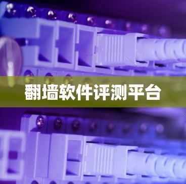 翻墙软件评测平台