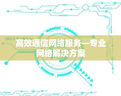 高效通信网络服务—专业网络解决方案