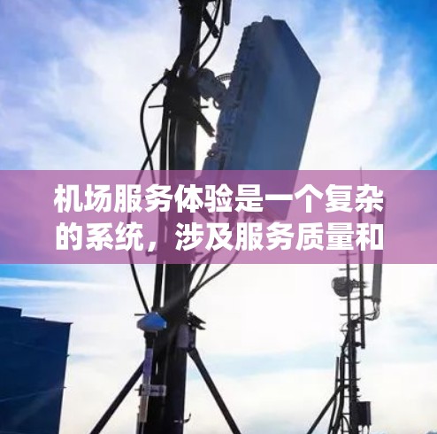 机场服务体验是一个复杂的系统，涉及服务质量和效率、员工培训、环境舒适性以及未来的优化方向等多个方面。以下是对机场服务体验的分析
