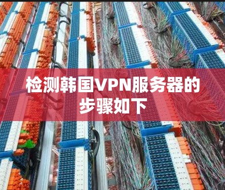 检测韩国VPN服务器的步骤如下