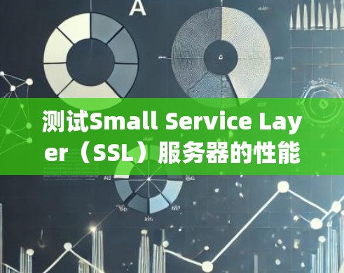 测试Small Service Layer（SSL）服务器的性能是一个系统性的过程，涉及多个方面以确保服务器的高效和稳定运行。以下是详细的步骤指南