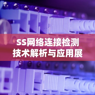 SS网络连接检测技术解析与应用展望