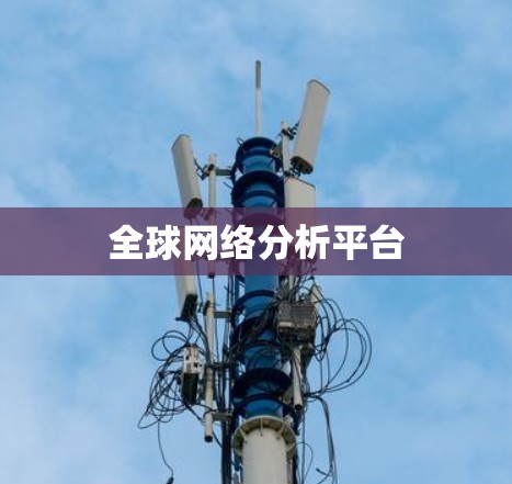 全球网络分析平台