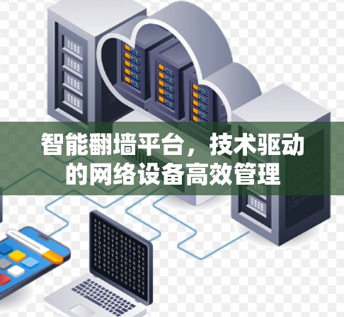 智能翻墙平台，技术驱动的网络设备高效管理