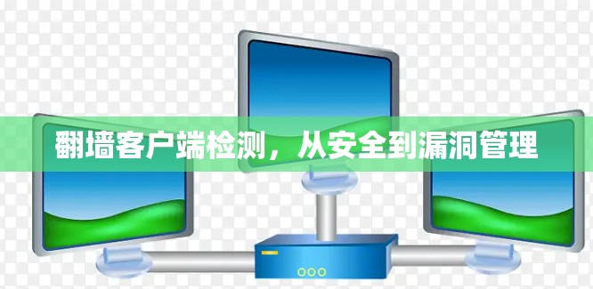 翻墙客户端检测，从安全到漏洞管理