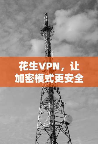花生VPN，让加密模式更安全可靠