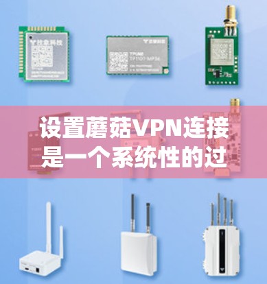 设置蘑菇VPN连接是一个系统性的过程，需要遵循以下步骤来确保安全和连续性