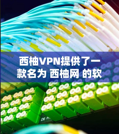 西柚VPN提供了一款名为 西柚网 的软件，它是一个基于MP4视频压缩的VPN服务，专为安卓用户设计。以下是关于如何下载和使用西柚网的详细指南