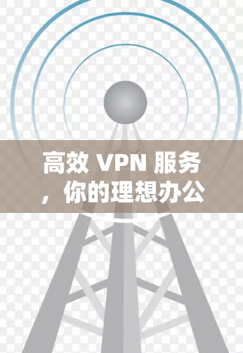 高效 VPN 服务，你的理想办公网络解决方案