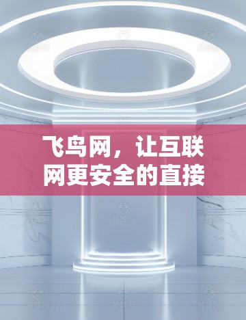 飞鸟网，让互联网更安全的直接入口