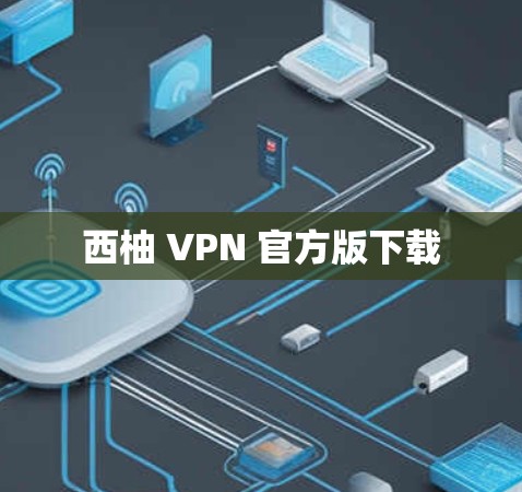 西柚 VPN 官方版下载