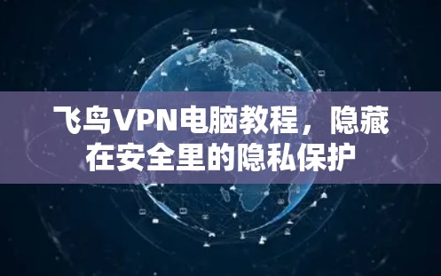 飞鸟VPN电脑教程，隐藏在安全里的隐私保护