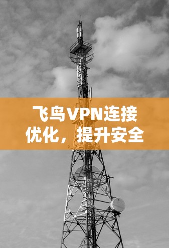 飞鸟VPN连接优化，提升安全与效率的实用指南