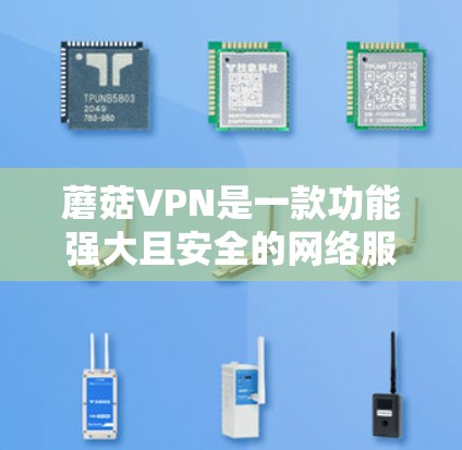 蘑菇VPN是一款功能强大且安全的网络服务，旨在提供多端流量访问，包括本地和国际端口。以下是对蘑菇VPN的详细介绍