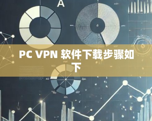 PC VPN 软件下载步骤如下