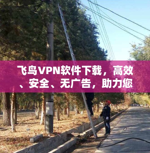 飞鸟VPN软件下载，高效、安全、无广告，助力您的网络旅行