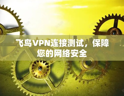 飞鸟VPN连接测试，保障您的网络安全