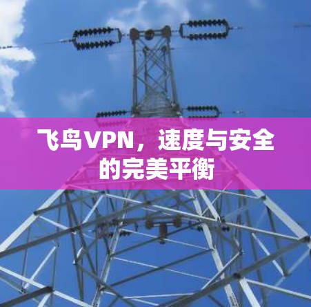 飞鸟VPN，速度与安全的完美平衡