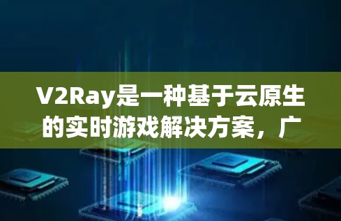 V2Ray是一种基于云原生的实时游戏解决方案，广泛应用于游戏开发和应用生态系统中。在性能分析方面，可以从以下几个方面进行深入探讨