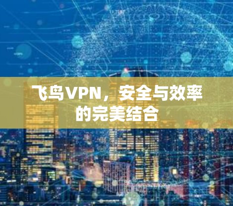 飞鸟VPN，安全与效率的完美结合